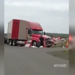 Trucker gets two months in jail and fines for fatal crash